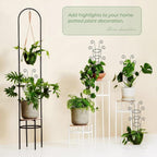 4 Pack 30 Inch Tall Metal Plant Trellis - Image 6