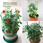 LEOBRO Tomato Cage, Climbing Plant, Plant Cages - Image 6