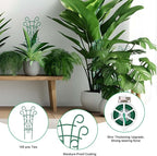 Plant Trellis for Potted Plants 4 Pack Stackable Indoor Outdoor Climbing - Image 4
