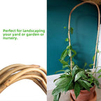 Avalution 16" Natural Bamboo Plants Trellis U-Hoop, Bamboo Gaeden Trellis - Image 3