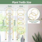 17.5 Inch Indoor Plant Trellis for Climbing Plants, Metal Trellis, Small Garden - Image 2