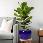 SQOWL Ceramic Plant Pot - Image 2