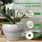 10 Inch Ceramic Planter Pot - Image 5