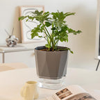 3 Pack Self Watering Flower Pots 6.5 Inch, Plant Pots - Image 7