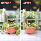 Mirthdino Hoya Trellis- Metal Plant Trellis Indoor 3-Pack - Image 5