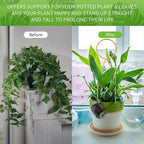 4 Pcs Small Metal Trellis for Potted Plants, Small Trellis for Potted Plants - Image 5
