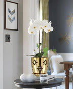 Oairse 6 inch Orchid Pots with Holes, Indoor Plant - Image 5
