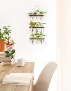 Mkono Plant Propagation Tubes, 3 Tiered Wall Hanging Terrarium - Image 3