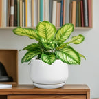 G EPGardening Ceramic Pots for Plants - Image 6