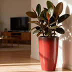 Worth Garden 23.5" H. Large Plastic Planters - Image 4