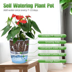 6 Inch Self Watering Pots for Indoor Plants, 6 Pack Grey Plastic Flower Pots - Image 3