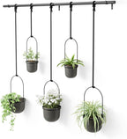 Umbra Triflora Hanging Planter for Window, Indoor Herb Garden by Umbra