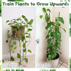 Plant Stakes 18Inch, HAINANSTRY Adjustable Length Garden Stakes, Plant Stakes - Image 3