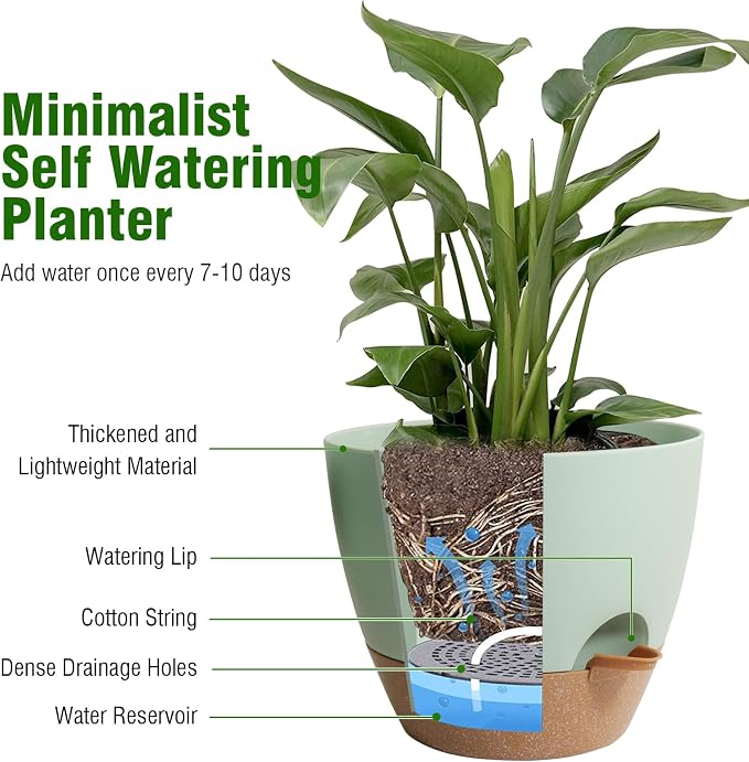 10 inch Self Watering Pots, 2 Pack Plastic Planters - Image 5
