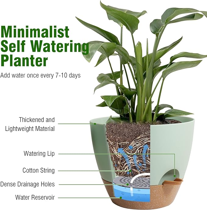 10/9/8 inch Self Watering Pots, Plant Pots - Image 5