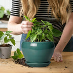 Indoor Plant Pot 6 Inch - Image 6