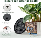 T4U 8 Inch Self Watering Pots for Indoor Plants, 2 Pack Plant Pots, Durable - Image 3