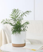 kubvici 8'' Plastic Flower Planter Pots Set of 2 Indoor Outdoor Planters - Image 7