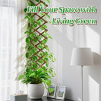 Pack of 2 Extra Thick Wooden Wall Trellis- Expandable Wall Planter Lattice - Image 4