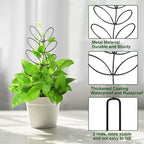 AUGSUN 2 Packs Indoor Plant Trellis Garden Trellis - Image 3