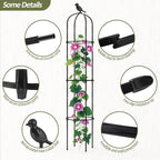 Garden Obelisk Trellis for Climbing Plants Outdoor - Image 3