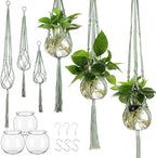 6 Pcs Plastic Plant Propagation by Colingmill