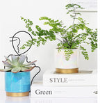 Gepege Succulent Pots for Plants, Succulent Planter - Image 5