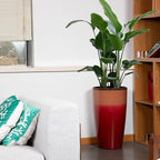 Set of 2 Lightweight Ceramic-Look Tall Planter, 21 inch Large Plastic Planter - Image 8