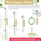 meekoo 30 Pcs Adjustable Garden Plant Support Stakes Single Stem Plant Cage - Image 2