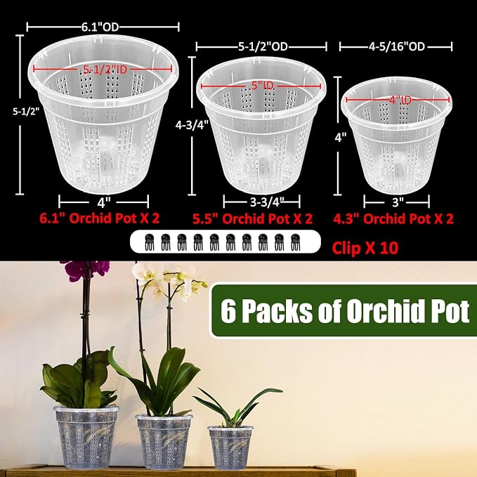 Orchid Pot, 2 Each of 4.3", 6.1" Orchid Pots - Image 6