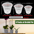 Orchid Pot, 2 Each of 4.3", 6.1" Orchid Pots - Image 6