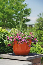 Garden Elements Indoor/Outdoor Glazed Brushed Happy Plastic Planter, Bright - Image 4