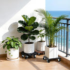 2 Pack Plant Stand with Wheels, Plant Caddies with 360° Lockable Smooth Sliding - Image 2
