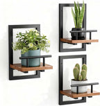 bosbo Floating Shelves for Wall, Plant Shelf Indoor, Wall Planters for Indoor by SBOSBO