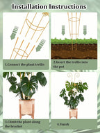 2 Pcs Tall Trellis for Potted Plants, Plant Pothos Climber Support for Monstera - Image 4