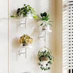 YUOROS 3 Pack Wall Planters for Indoor Plants Hanging Shelf Wall Mounted Plant by YUOROS