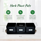 volila Herb Planter Indoor - Image 2