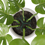 4PCS Green Iron Monstera Support, Uniquely Designed Plant Support Stakes - Image 7