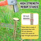 16 Inch Rebar Stakes - Image 3