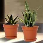 WOUSIWER 16 Pack 6 inch Plastic Planters, Plastic Indoor Planter Flower Pots - Image 8