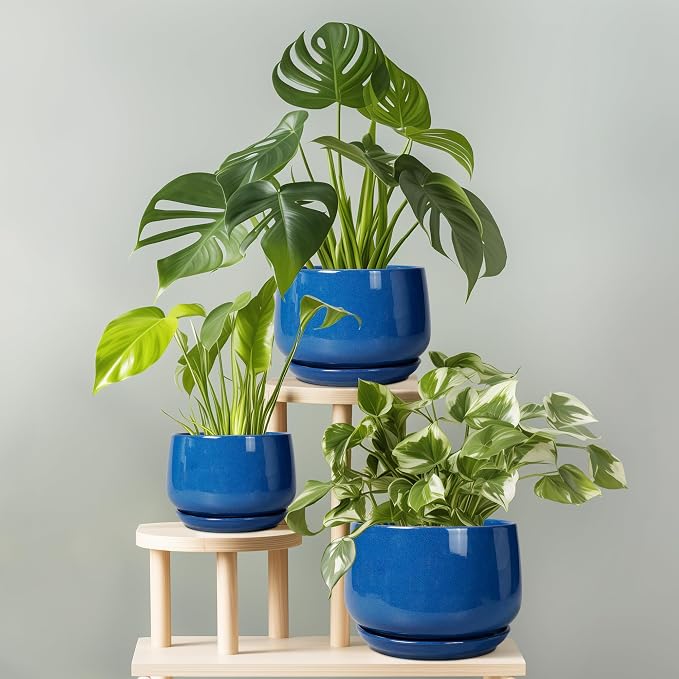 G EPGardening Ceramic Pots for Plants, 9 Inch Modern Round Planter - Image 7