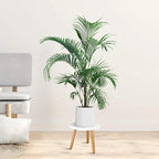 Uneedem Indoor Plant Stand, Wood Mid Century Modern Small Round Side Plant Table - Image 7