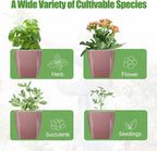 8 Pack Self Watering Pots 4-inch Decorative Flower Planters - Image 6
