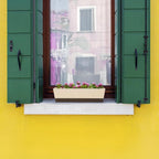 GREANER Window Boxes, 1 Pack 16 x3.8 Inch Indoor Rectangle Planter, Herb - Image 4