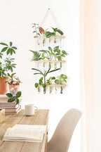 Mkono 3 Tiered Wall Hanging Plant Terrarium - Image 2