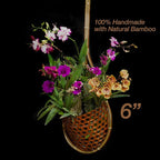 Handmade 100% Thai Bamboo Super Sanctuary Hanging Orchid Basket - Image 2