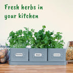 volila Herb Planter Indoor - Image 7