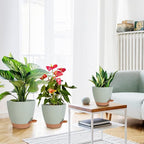Planters for Indoor Plants, 8/7/6.5/6/5.5/5 Inch Self Watering Planters - Image 6