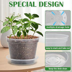 7 Pack 8 Inch Clear Nursery Pots - Image 3