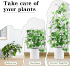 ZOUTOG Trellis for Climbing Plants Indoor 4 Pack 30 Inch, Rustproof Metal - Image 2
